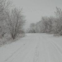 Зимняя дорога :: AlexDesemder 