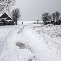 Деревня - зимний день. :: Евгений Илькевич