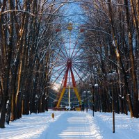 В старом парке :: Сергей 