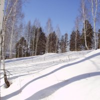 Зима :: Юрий Трапезников