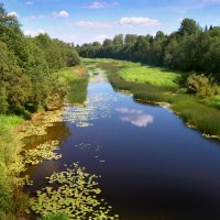 Вологда - река в верховьях :: Валерий Талашов