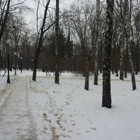 В Петровском парке :: Владимир Прокофьев