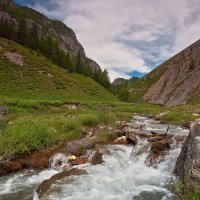 Куда несет меня судьбы река... :: Владимир Комышев