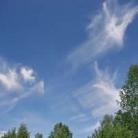 Вот такие облака :: Андрей Дворников