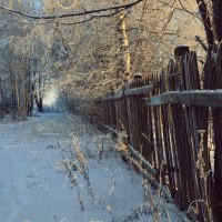 Зимняя прогулка :: Олег Кашаев