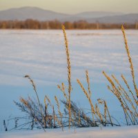 Зимний февральский пейзаж :: Виктор Алеветдинов