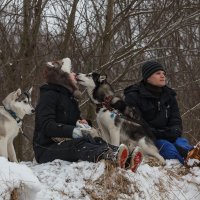 **** :: Алексей Соловьев