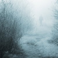 Двое в тумане :: Эдуард Цветков