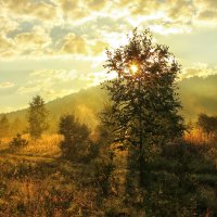 Поэзия раннего утра :: Олег Сонин