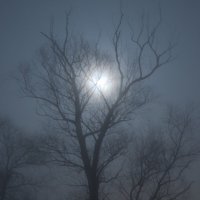 Лунная туманная ночь-2 :: Roman Globa