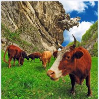 Про коров и Уастырджи :: Евгений Турков
