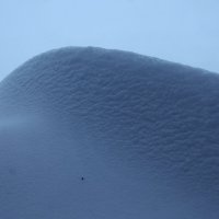 гора снега !!! :: Василий Щербаков