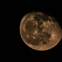Луна 18.02.14 :: Юлия Надеева