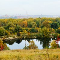 Любоваться можно бесконечно! :: Евгения Латунская