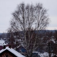 Зима :: Алексей Golovchenko