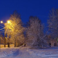 раннее утро после снегопада....заснеженный бульвар... :: Наталья Меркулова