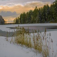 Вечер :: Николай Климович