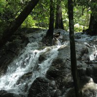 Thailand - Nature Trail of Sa Nang Manora Forest Park (Phang Nga) :: Виталий Худорожков