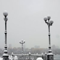 снежный ноктюрн :: Анастасия Барыльникова