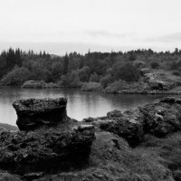 Туман над озером Миватн (Исландия) :: Олег Неугодников
