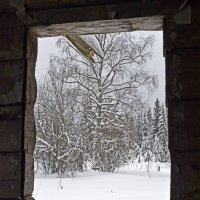 Взгляд из прошлого :: Юрий Митенёв