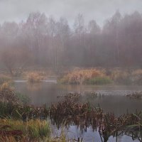 Болото :: Александр Белышев