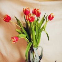 Натюрморт с тюльпанами. :: Снежанна Родионова
