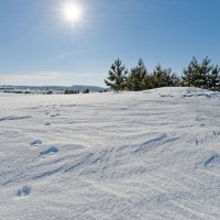 По следу зверя :: Валерий Шибаев