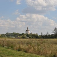 Дорога на Старочеркасск :: Наталья Аринцева