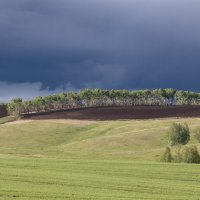 После дождика :: Николай Морский 