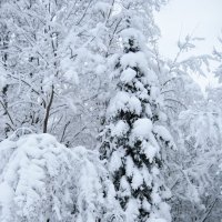 Зима :: Vitaly Kurbet