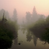Сиреневый туман :: Николай Морский 