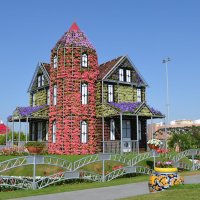 Цветочный домик :: Руслан Безхлебняк