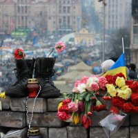 Евромайдан :: Mad Rose