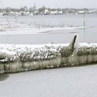 Зима подкралась. :: Наталья Цветкова