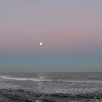 луна над Тихим океаном :: Светлана Шакирзянова