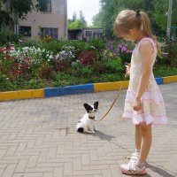 Девочка и щенок :: Игорь Машкин