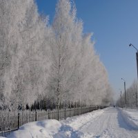 Городской парк зимой :: Игорь Ильиных