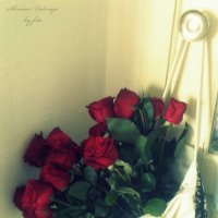 розы в сумке :: Валерия 