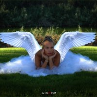 angel :: Eduard suleymanov