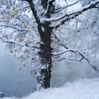 Ранняя зима :: Константин Беляев