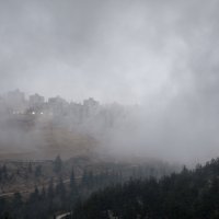 Туман,похожий на обман :: Алла Шапошникова