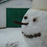снеговик :: Ольга 