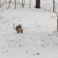 ну и что тут новенького :: опарина татьяна 