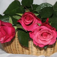 Средь связки роз, весной омытой ... :: Mariya laimite
