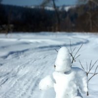 Снежный страж :: Радмир Арсеньев