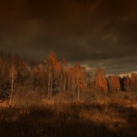 Осень :: Андрей Гусев
