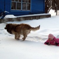 Эх...не прокатил... :: Нина 