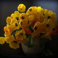 Желтые тюльпаны :: Natali K
