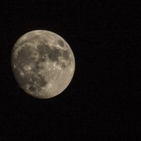 Лунная прогулка :: Aleksey Pshenichnuy